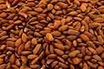 Unshelled almonds