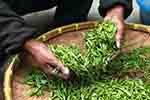 Tea leaves photo courtesy of Pixabay