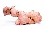 Ginger root exporters
